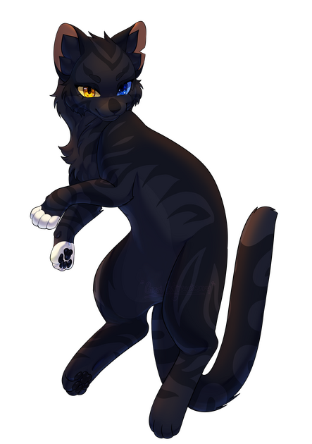 Giveaway prize for Goldenstar